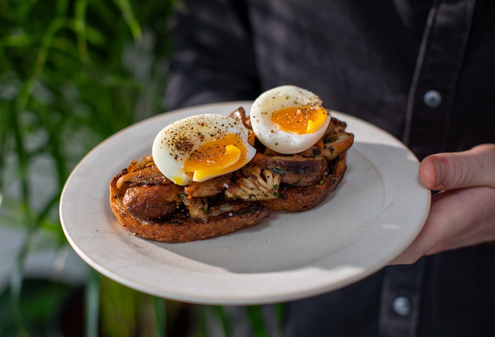Mushrooms on toast with poached egg and tarragon